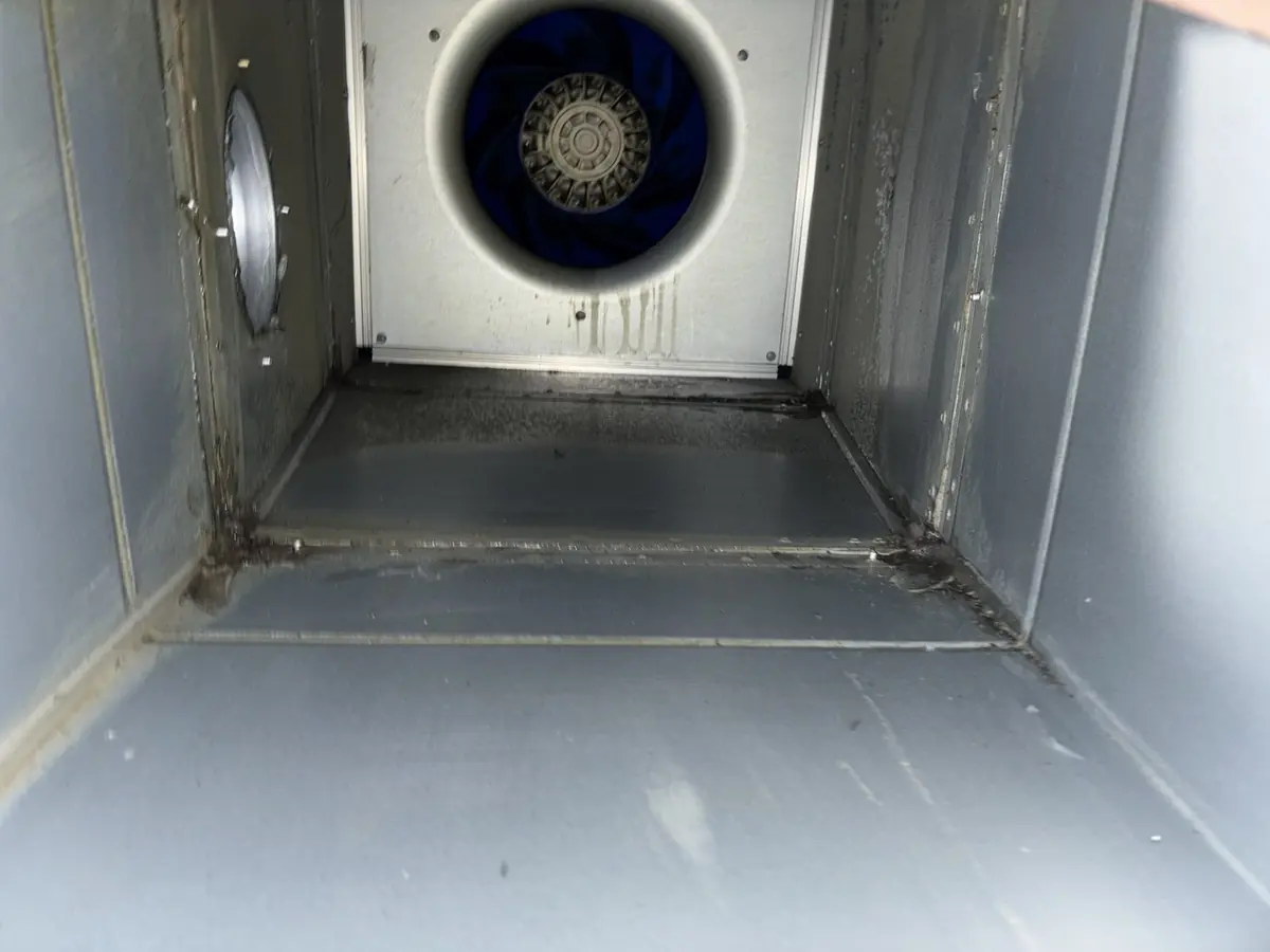 Commercial kitchen extract fan impeller blades after degreasing